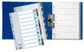 Kartónový rozraďovač Esselte Mylar 1-31
