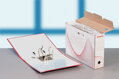 Archívny box Esselte 100mm biely/červený