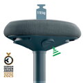 Ergonomická balančná stolička Leitz Ergo na sedenie, zamatová šedá
