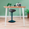 Ergonomická balančná stolička Leitz Ergo na sedenie, zamatová šedá