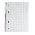 Blok College Format Werk Ursus Basic A5 80 listov štvorčekový 70g
